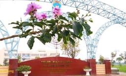KẾ HOẠCH Thi lại Học kỳ I và thi Đợt 1 học kỳ II năm học 2024 - 2025