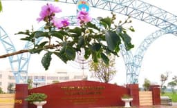 THÔNG BÁO Về việc sinh viên đại học chính quy chậm tiến độ học tập so với kế hoạch