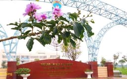 KẾ HOẠCH Tổ chức Hội thảo chuyên đề "Phát triển năng lực số cho sinh viên khối Kinh tế"