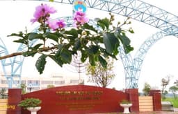 THÔNG BÁO về việc cảnh báo kết quả học tập Học kỳ I năm học 2024 - 2025