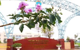 QĐ 472 Ban hành Quy định điều kiện, trình tự, thủ tục mở ngành ĐT, đình chỉ hoạt động của ngành ĐT trình độ ĐH, thạc sĩ, tiến sĩ của Trường Đại học Hải Dương