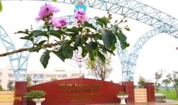 QĐ số 515 về chuẩn CTĐT, xây dựng rà soát chương trình đào tạo Thạc sĩ