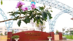 CTĐT các ngành: Sư phạm Toán, Sư phạm Ngữ Văn, Sư phạm lịch sử, Sư phạm Tiếng Anh, Sư phạm Khoa học tự nhiên, Giáo dục Mầm non, Giáo dục Tiểu học, Giáo dục thể chất, Điện tử viễn thông, Marketing.